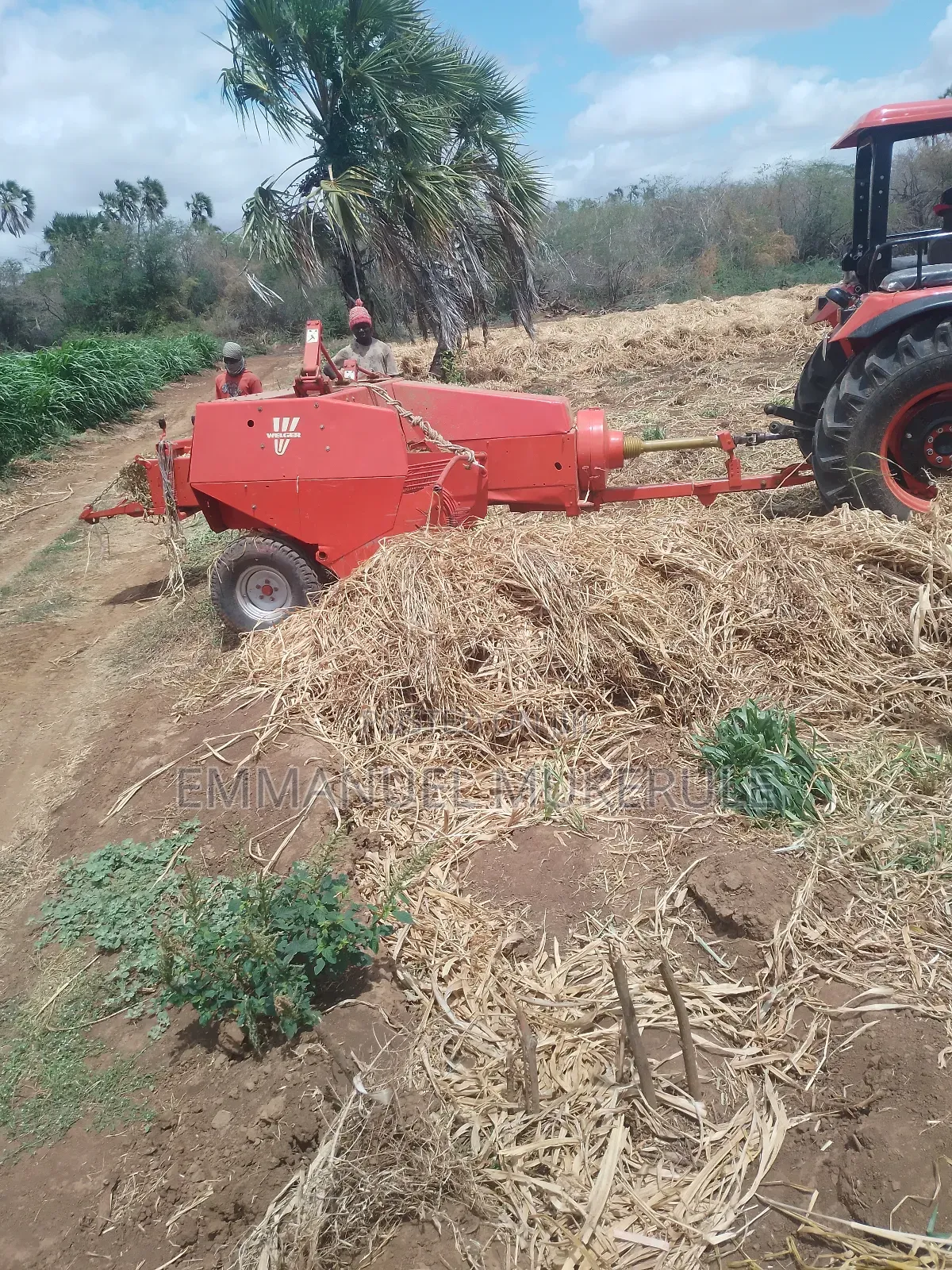 Farm Manager, Consultant, Salesman and Driver.