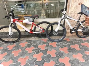 Premier Rider 29er Mountain Bike