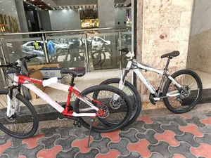 Premier Rider 29er Mountain Bike