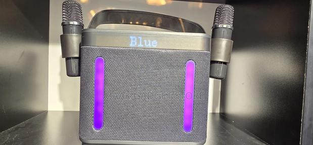 Karaoke Wireless Speaker -Citation 500lcd - thumbnail 3