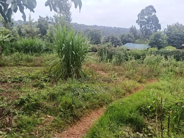 1/4 Acre Residential Plot, Ngong Kibiko, 300metres From Tarmac - main view