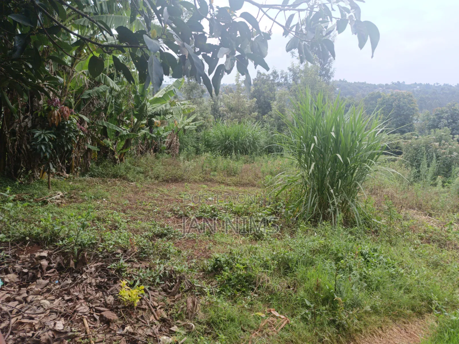 1/4 Acre Residential Plot, Ngong Kibiko, 300metres From Tarmac
