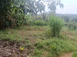 1/4 Acre Residential Plot, Ngong Kibiko, 300metres From Tarmac