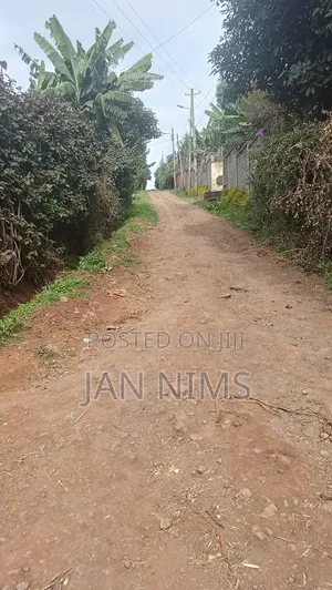 1/4 Acre Residential Plot, Ngong Kibiko, 300metres From Tarmac