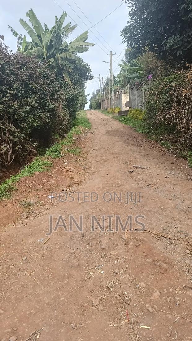 1/4 Acre Residential Plot, Ngong Kibiko, 300metres From Tarmac - thumbnail 4