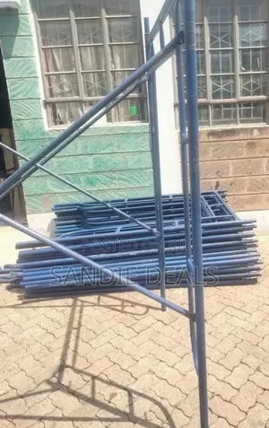 Stainless Scaffolding Ladders
