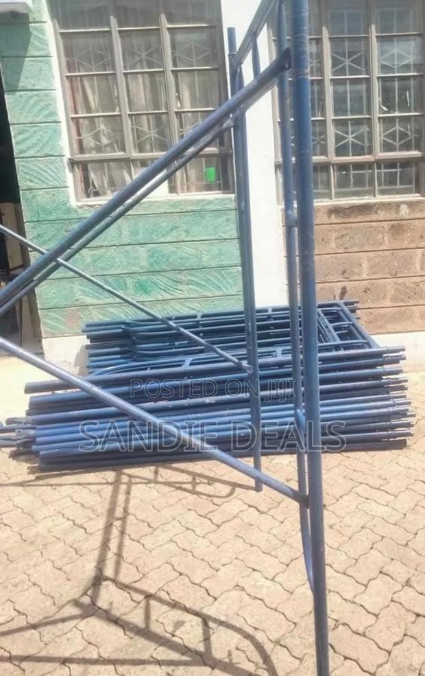 Stainless Scaffolding Ladders - main view