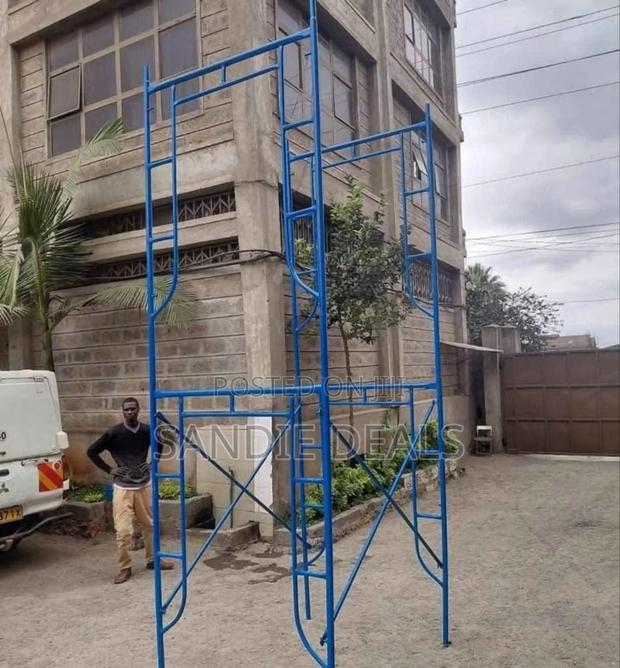 Stainless Scaffolding Ladders - thumbnail 2