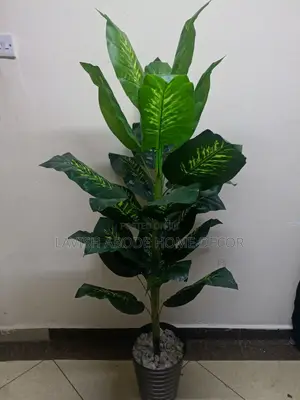 Artificial Dieffenbachia Plant in Black Vase