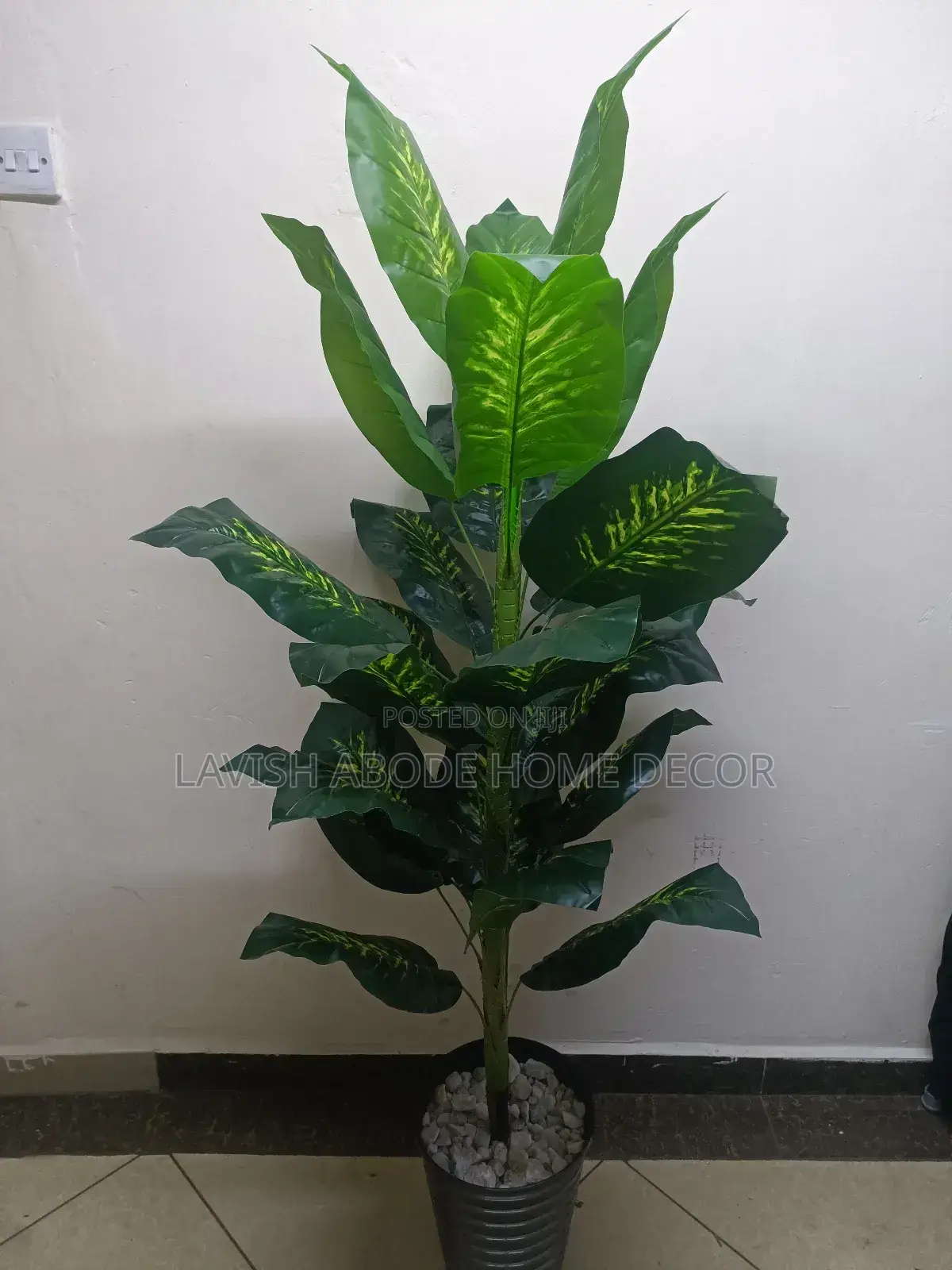 Artificial Dieffenbachia Plant in Black Vase