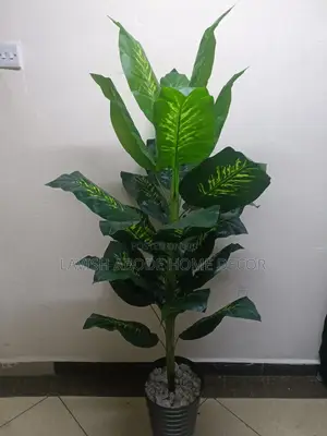 Artificial Dieffenbachia Plant in Black Vase