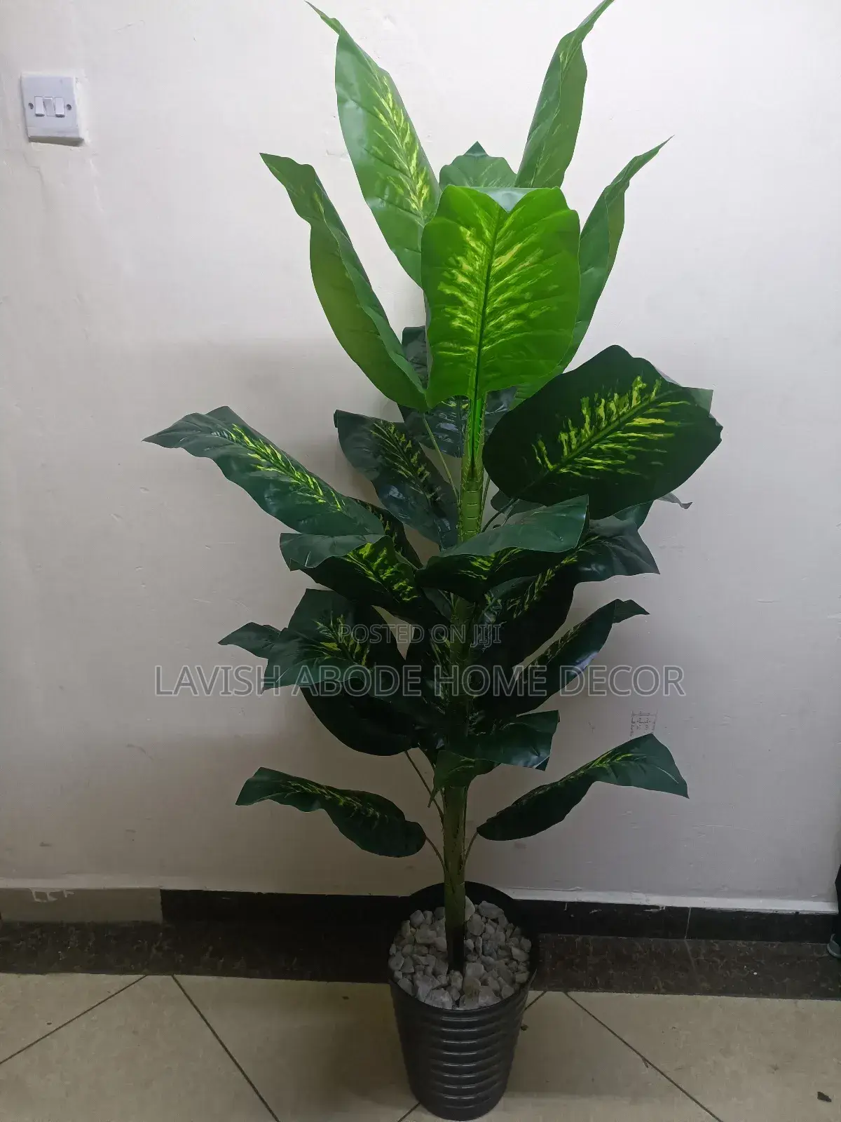 Artificial Dieffenbachia Plant in Black Vase