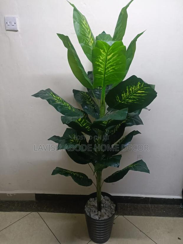 Artificial Dieffenbachia Plant in Black Vase - thumbnail 3