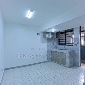 1bdrm Bedsitter in Patrick Mburu, Ruaka for rent - main view