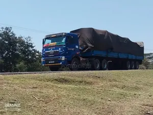 Trailer Transport at Hand for Logistic Needs