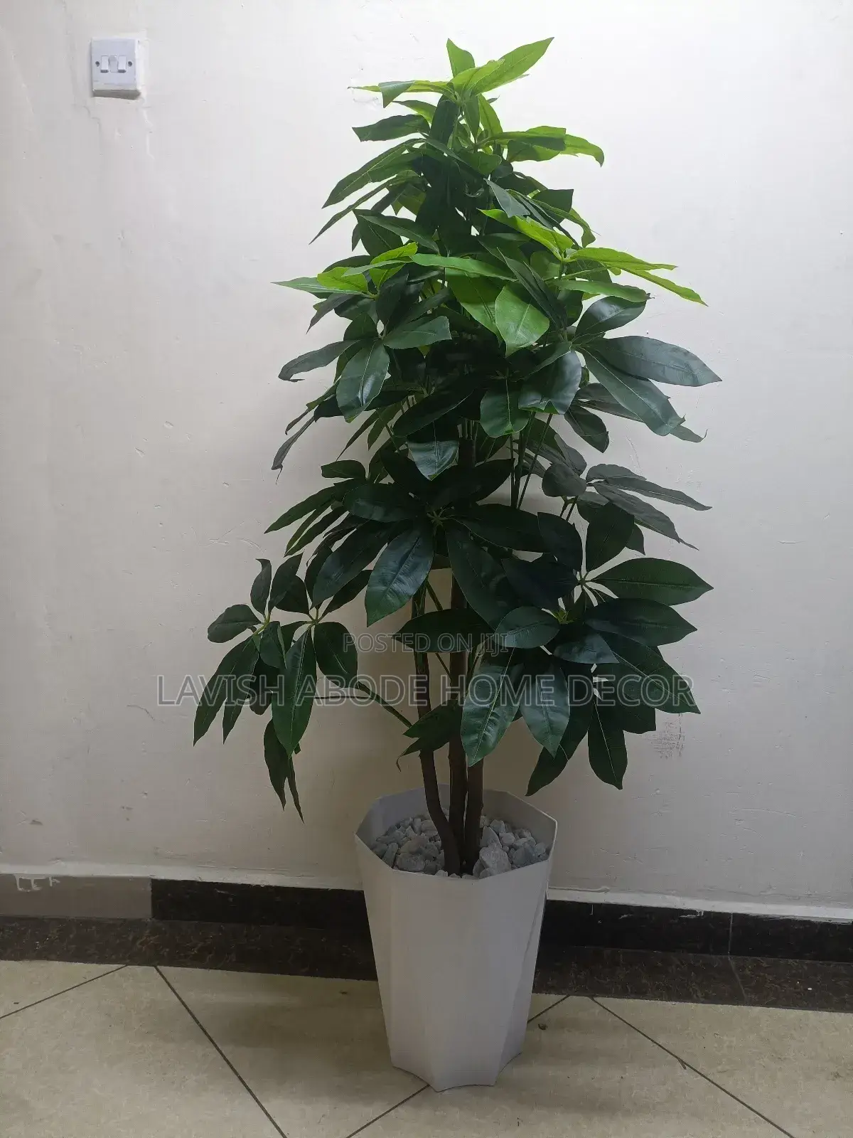 Big Artificial Mango Plant in White Planter