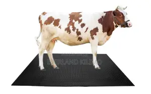Cow Matresses