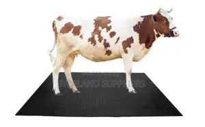 Cow Matresses