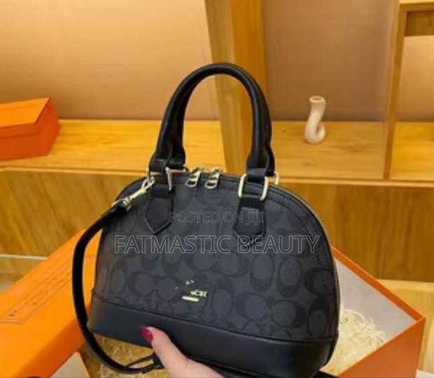 Coach Handbags - main view