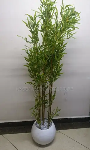 Brown Bamboo Plant in a Round White Vase