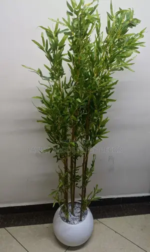 Brown Bamboo Plant in a Round White Vase