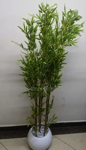 Brown Bamboo Plant in a Round White Vase