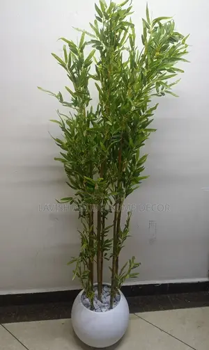 Brown Bamboo Plant in a Round White Vase
