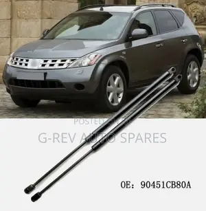 Nissan Murano Boot Shocks.