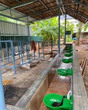 Self-Regulating Cow Drinker - thumbnail 2