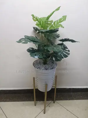 Monstera Plant in White Spiral Vase With Gold Stand