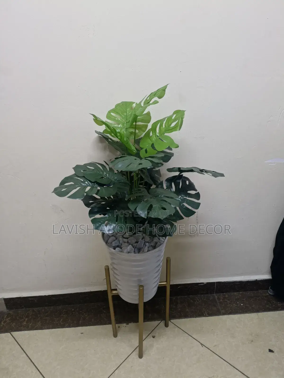 Monstera Plant in White Spiral Vase With Gold Stand