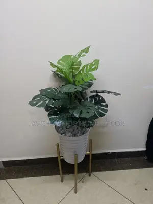 Monstera Plant in White Spiral Vase With Gold Stand