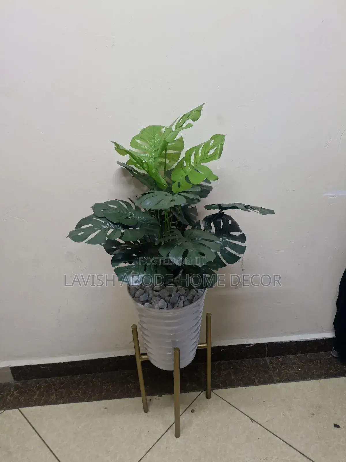 Monstera Plant in White Spiral Vase With Gold Stand