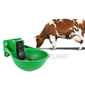 Mechanized Cow Drinker