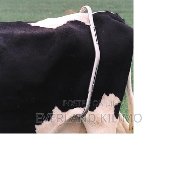 Heavy Duty Cattle Anti-Kick Bar