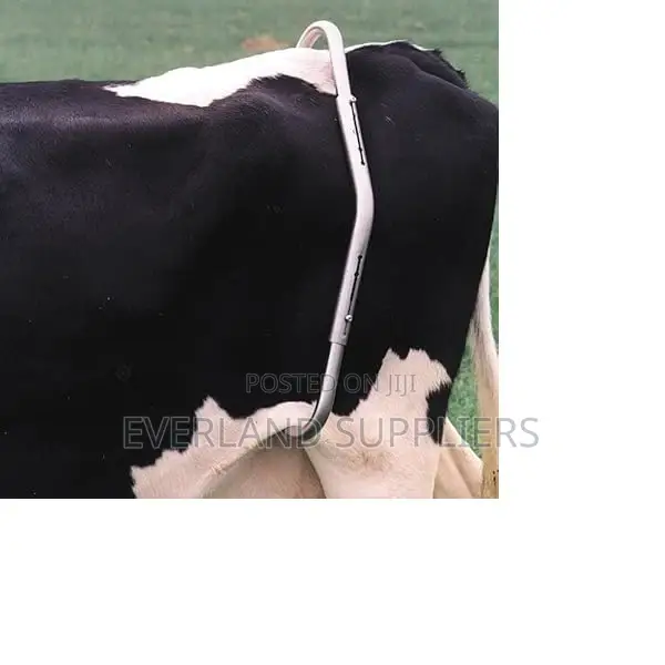 Heavy Duty Cattle Anti-Kick Bar