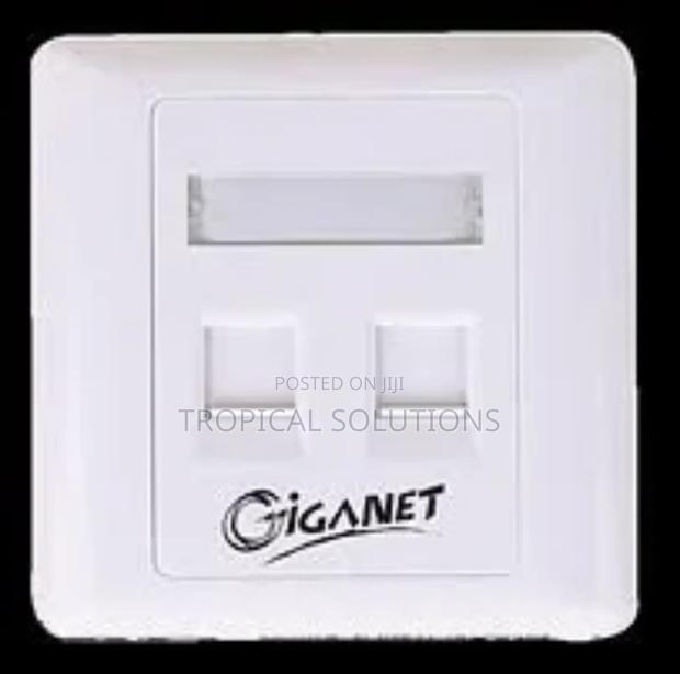 Giganet Dual Face Plate - thumbnail 2