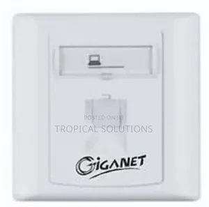 Giganet Gn-Fp-01 Single Faceplate