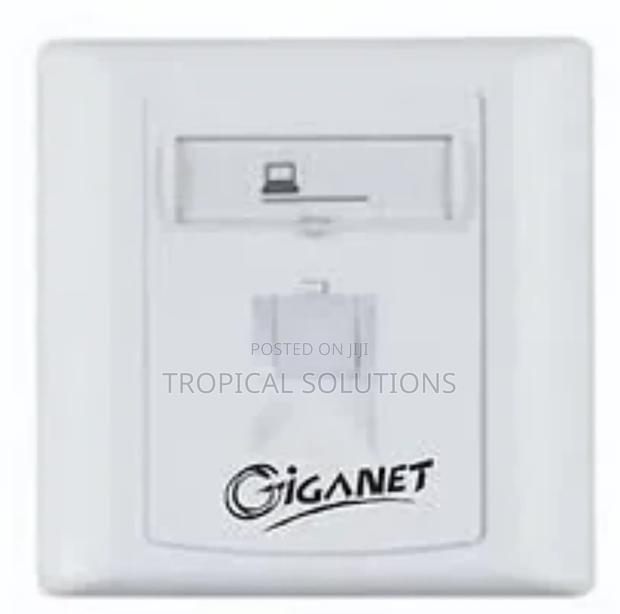 Giganet Gn-Fp-01 Single Faceplate - main view