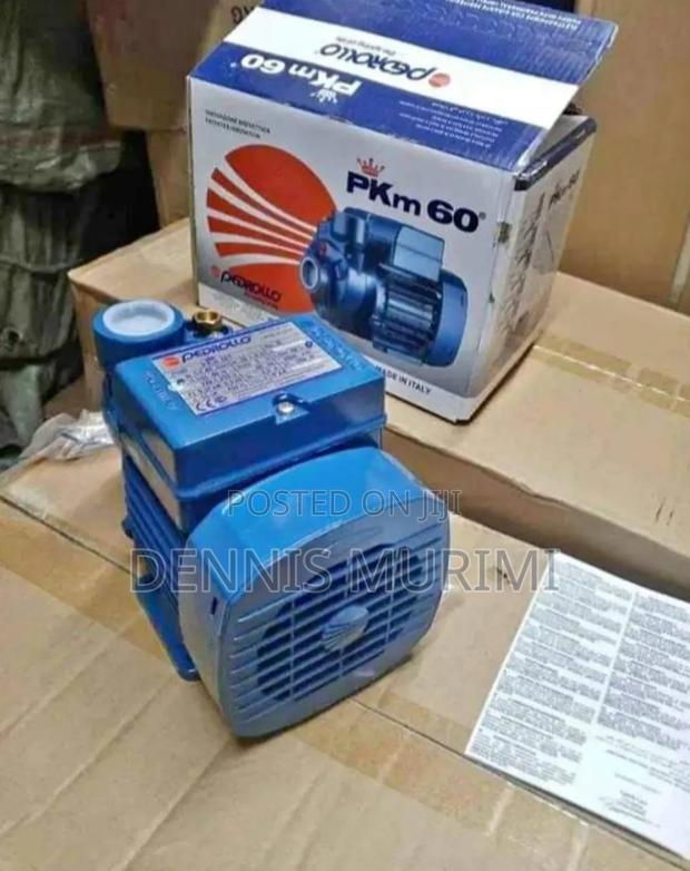 Pedrollo Water Pump 0.5/Powerful Machine - main view