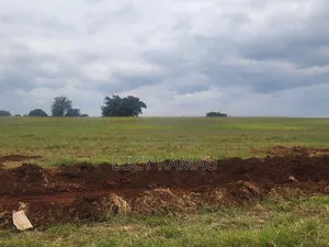 Prime 62 Acre Block for Sale in Riabai ,Kiambu