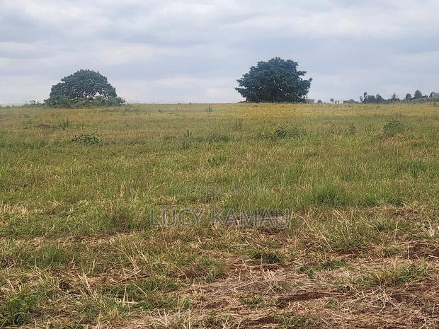 Prime 62 Acre Block for Sale in Riabai ,Kiambu - thumbnail 6