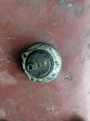 Toyota Filder Rear Hub