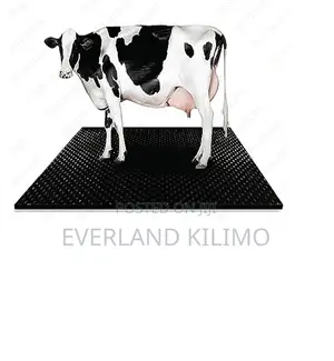 Comfortable Cow Mat