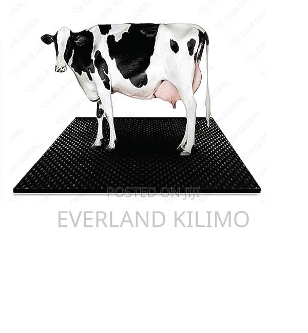 Comfortable Cow Mat