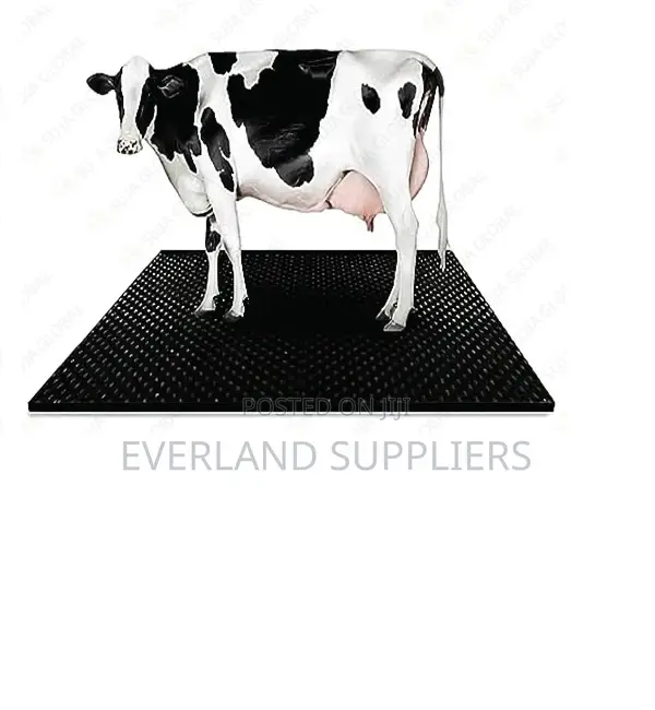 Comfortable Cow Mat