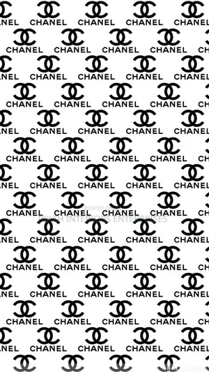 Black and White Wallpapers
