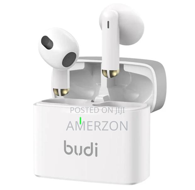 Budi Wireless Earbuds - main view