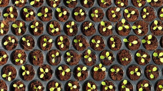 Agro Farm Consulting - thumbnail 2