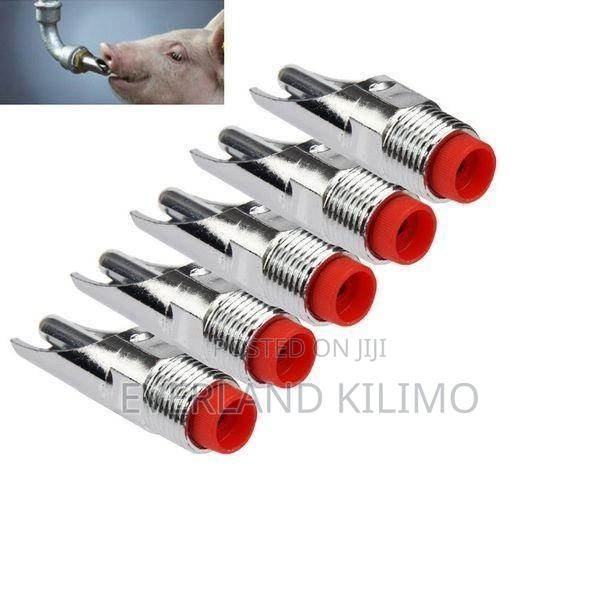 Stainless-Steel Pig Nipples